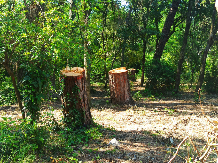 Πάρκο Αγρινίου: Τρέχει η ανάπλαση με «χειρουργικές» παρεμβάσεις