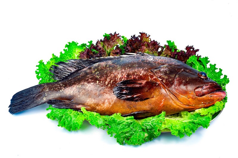 Ελληνικά ψάρια Ν-Χ & πως τρώγονται. Ροφός