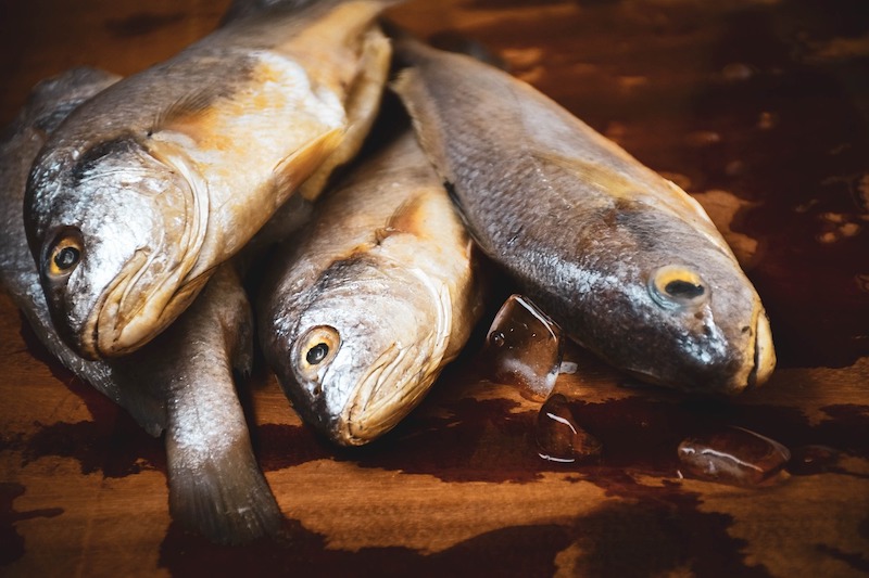 Ελληνικά ψάρια Ν-Χ & πως τρώγονται - Β' μέρος